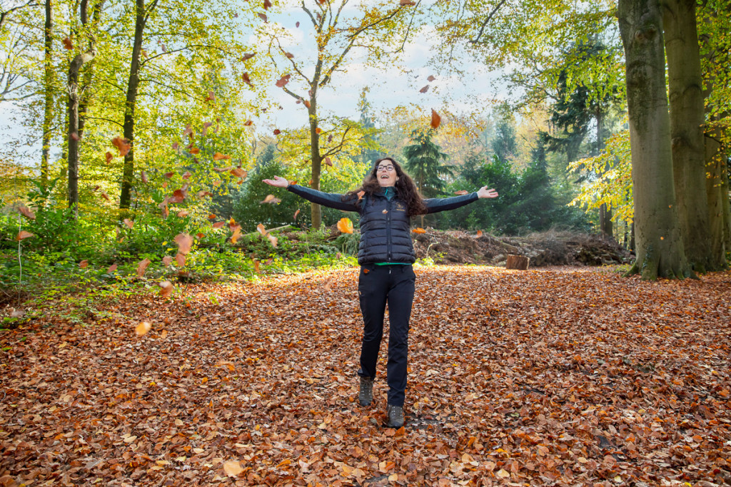 Herfst Mind-Walk