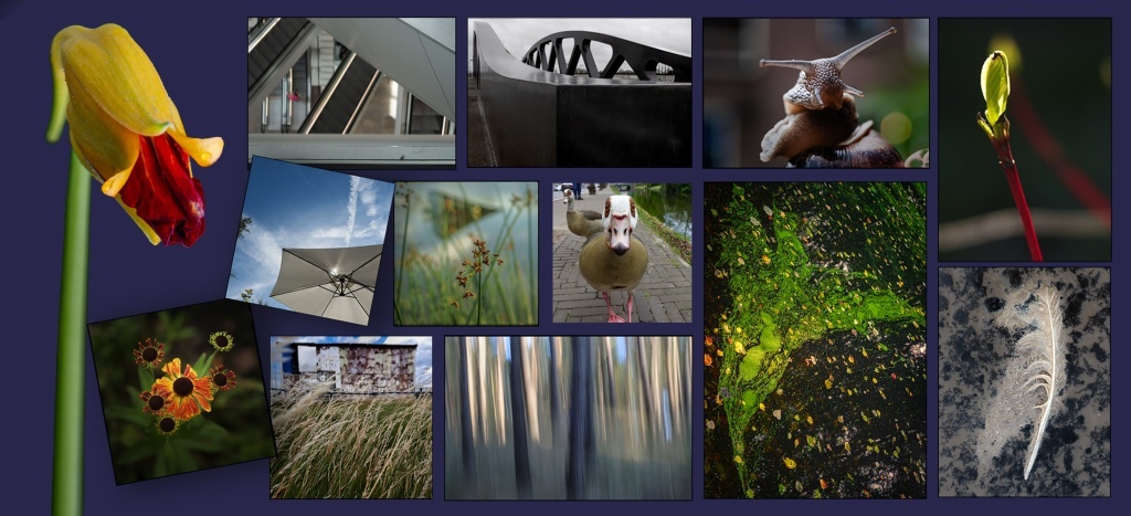 Wandellink: Fotografiewandeling