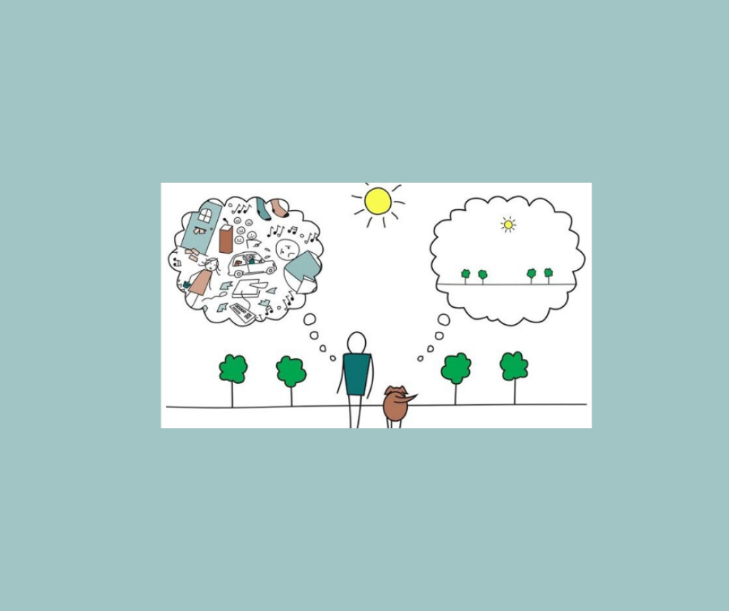 Week van de vrijwilliger - Levenskunstspel