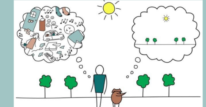 Week van de vrijwilliger - Levenskunstspel