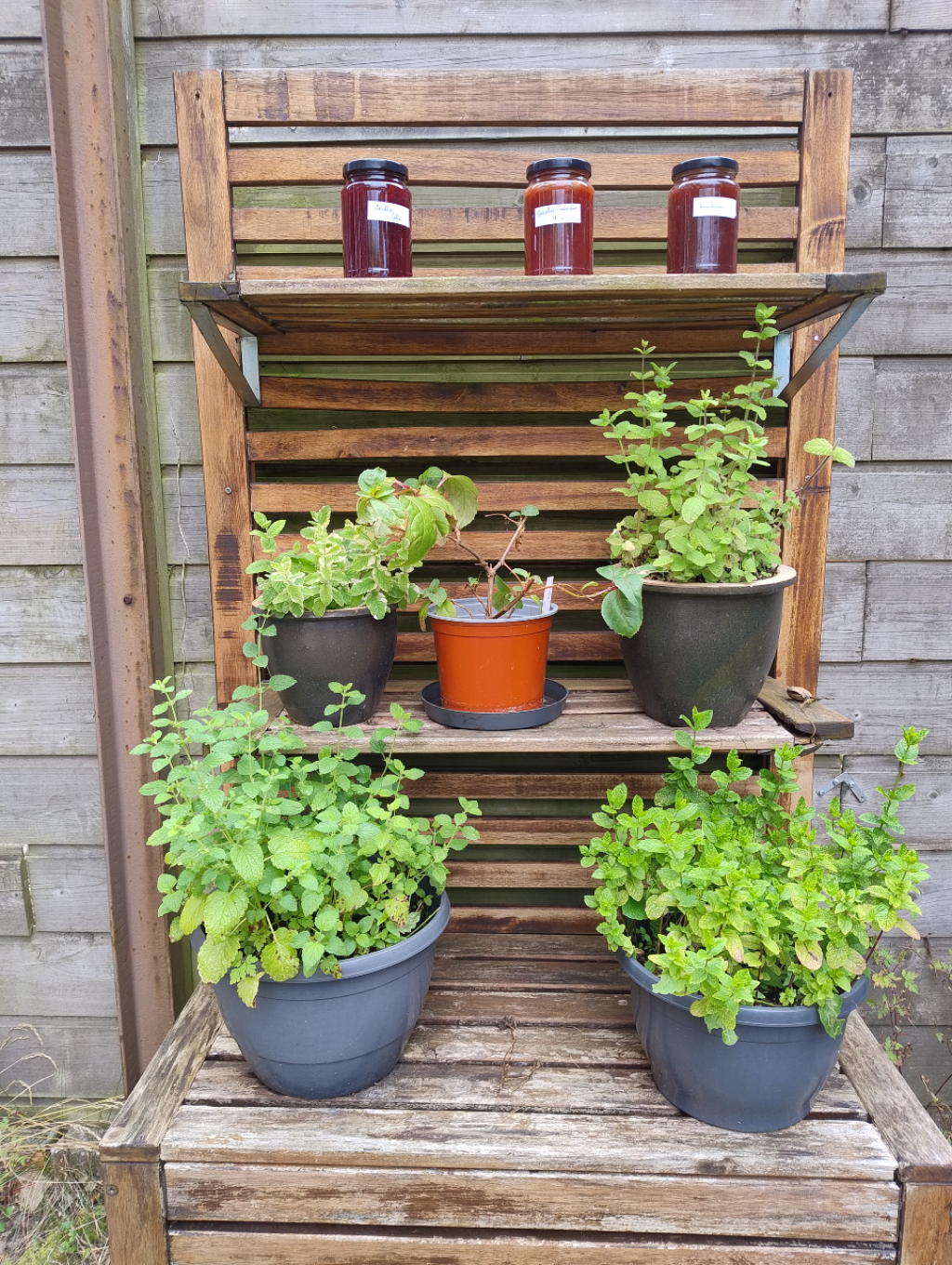 Van tuin tot tafel, het bewaren en verwerken van oogst