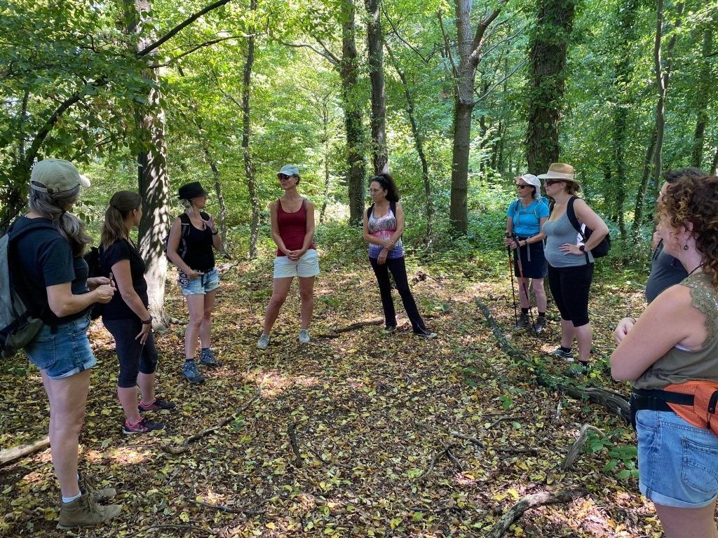 Zomerse Mind-Walk