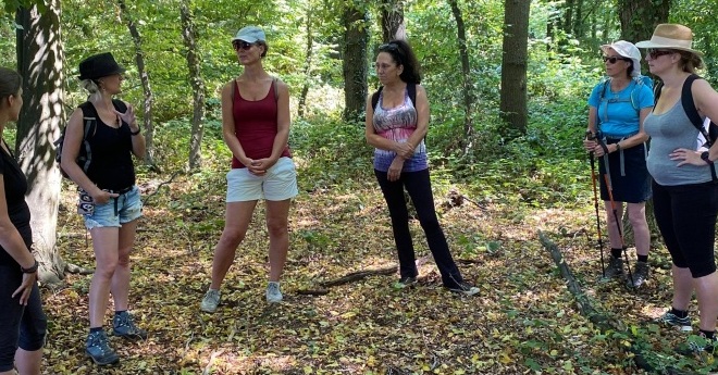 Zomerse Mind-Walk